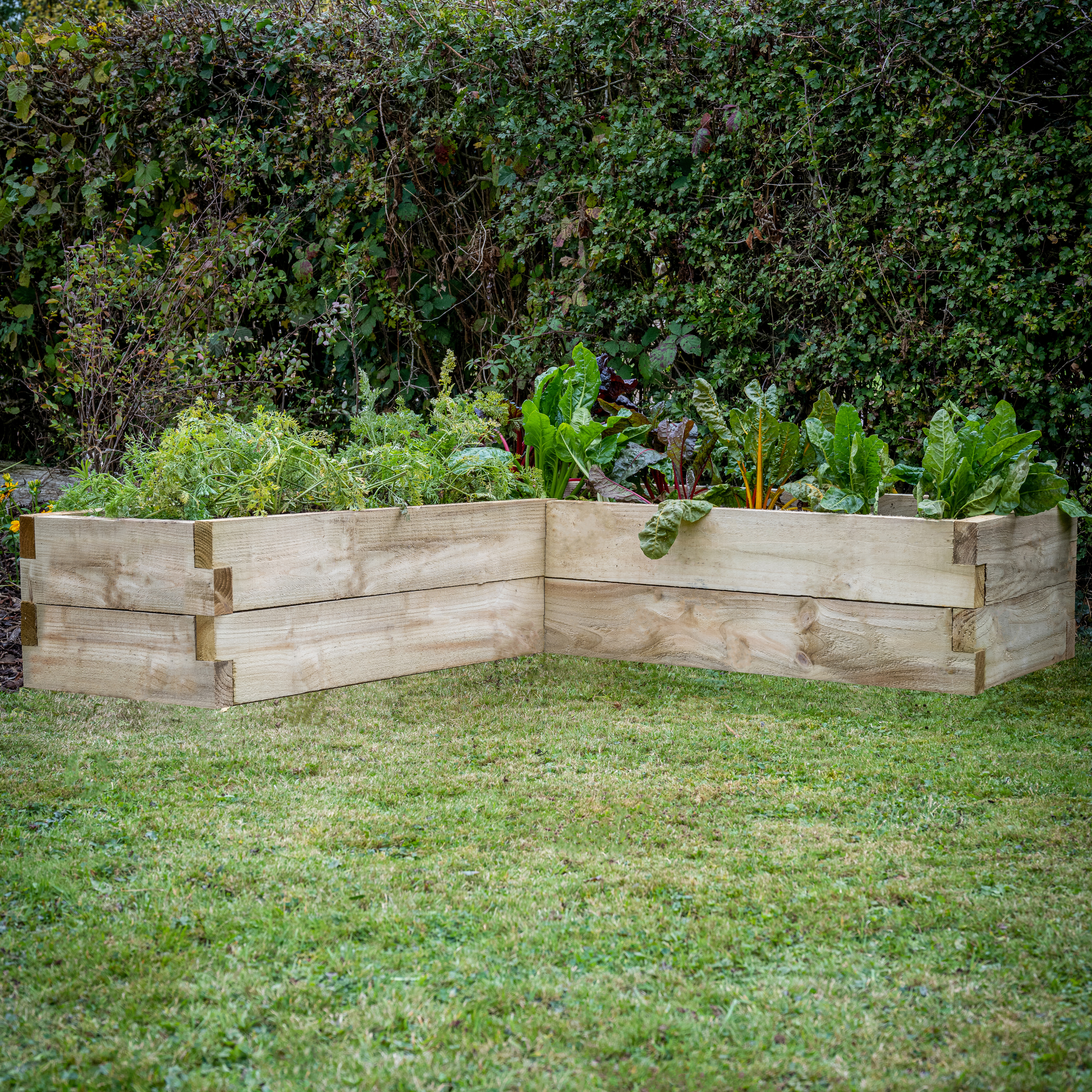 Caledonian corner raised bed outdoor