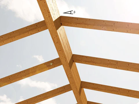 Roof rafter connector canopy products